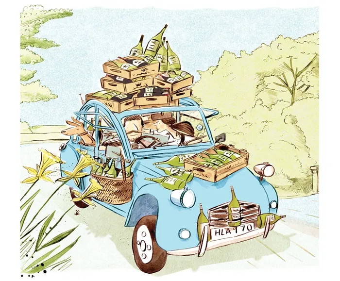 Blue vintage car loaded with books and plants by Adam Larkum