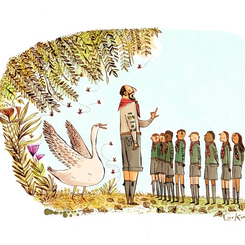 Pfadfinderleiter spricht zu Pfadfinderinnen mit einem großen Schwan und Pflanzen, Illustration von Adam Larkum