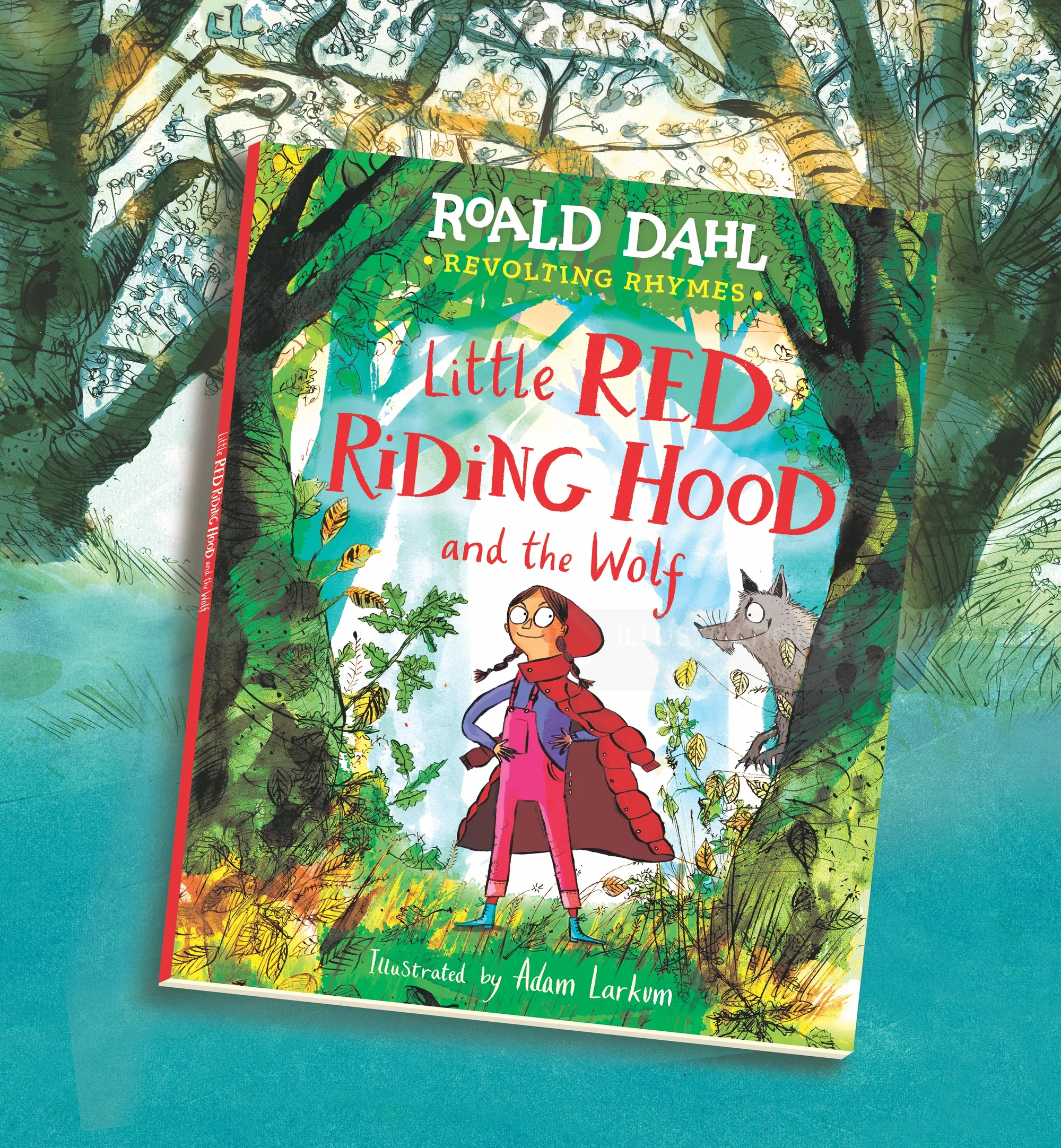 Cover of Little Red Riding Hood book illustrated by Adam Larkum