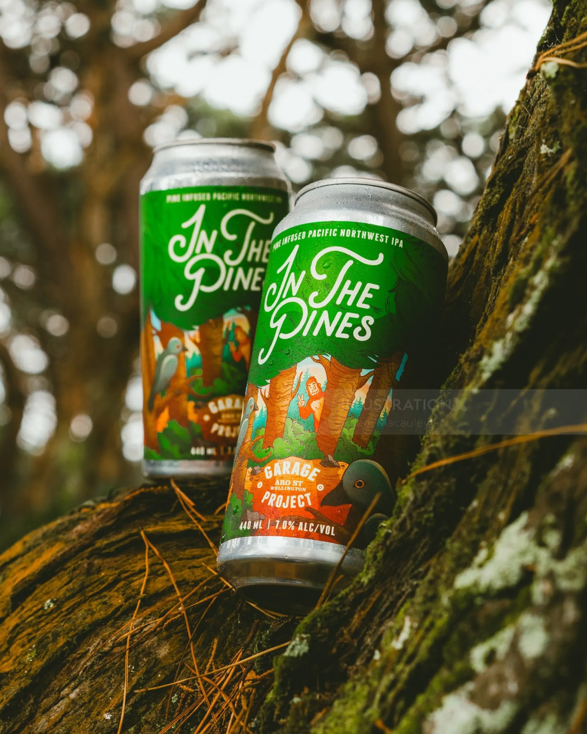 Packaging illustration for ‘In The Pines'