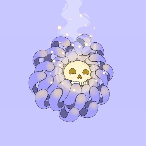 Detailed illustration of a chrysanthemum flower in full bloom