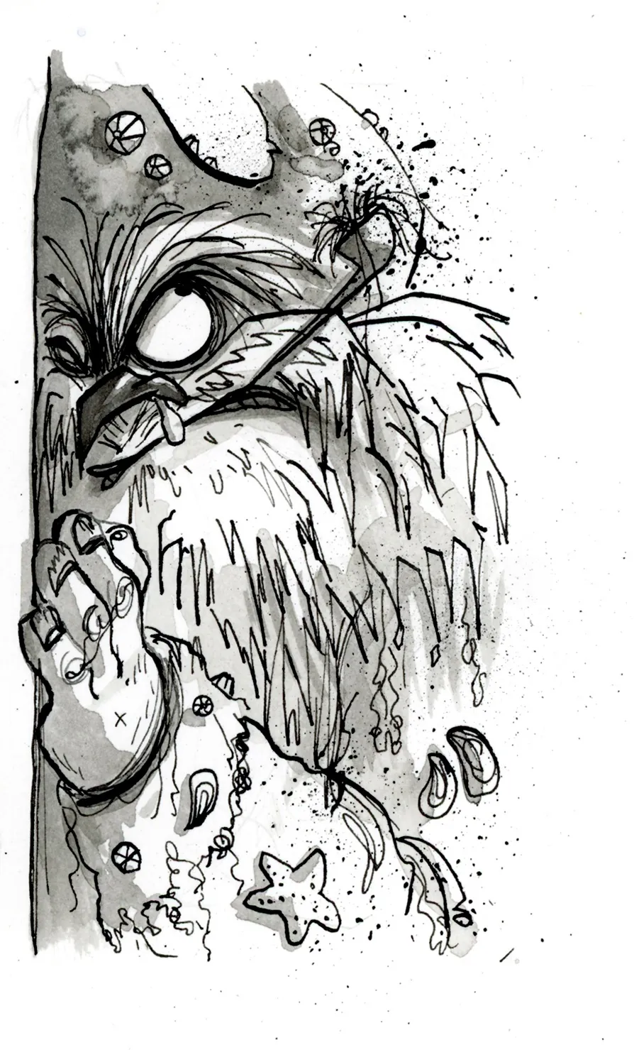 Black and white sketch of a mystical bearded creature with starfish