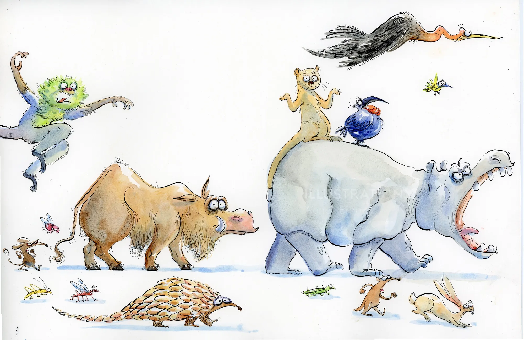 Cartoon animals including hippo, buffalo, bird, and others walking