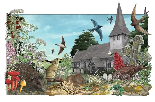 Animales encontrados en un cementerio