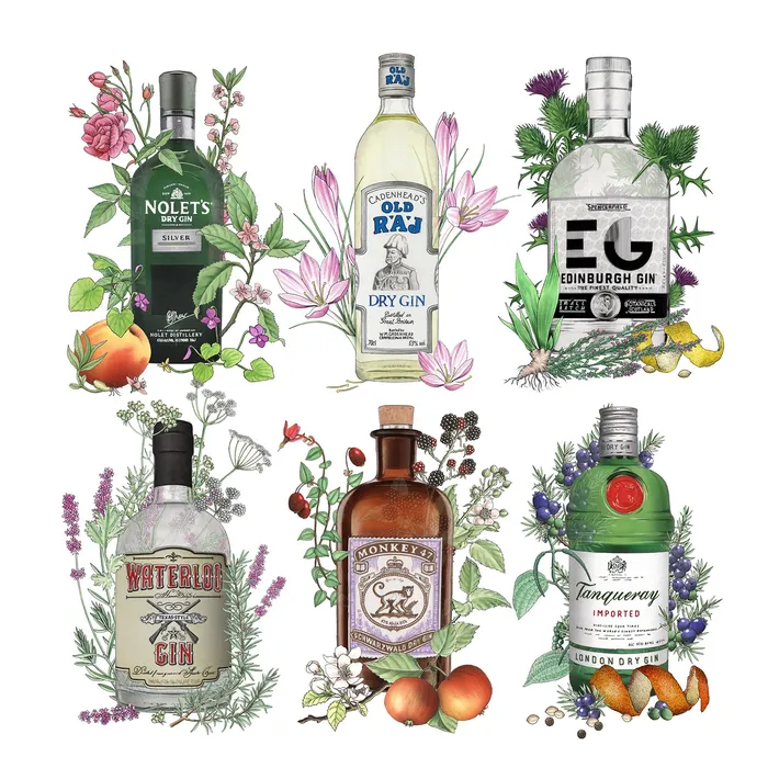 Gin bottles illustration by Alan Baker