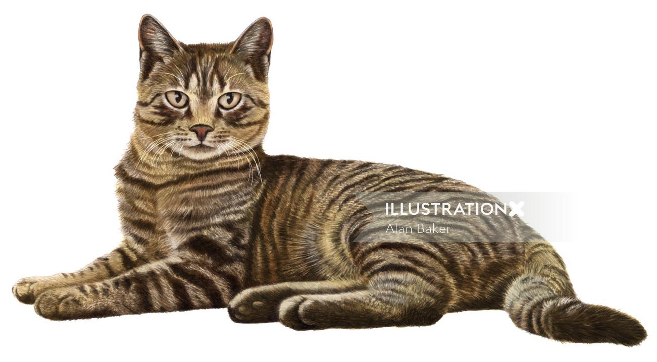 Cat in contentment animation by  Alan Baker