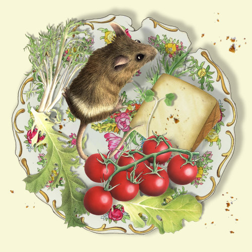 Graphical illustration of Mouse on plate