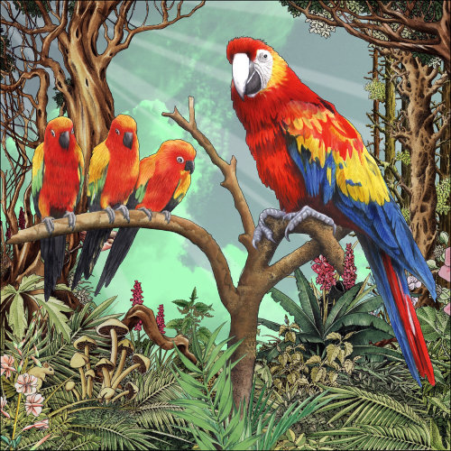 Animals parrots in a fantasy forest