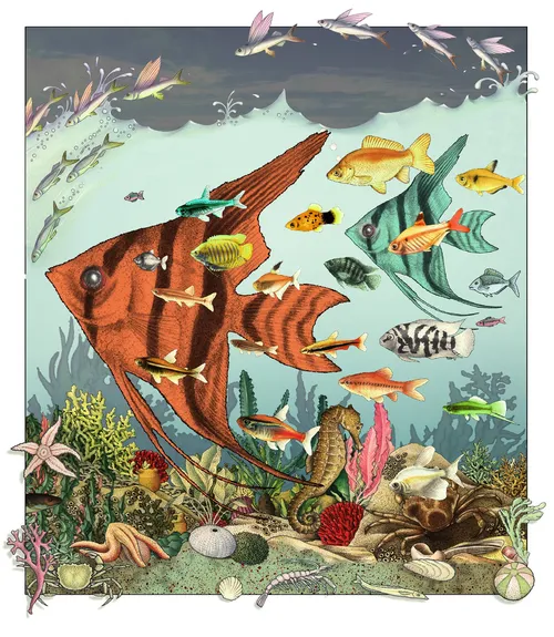 Animales Peces bajo el mar