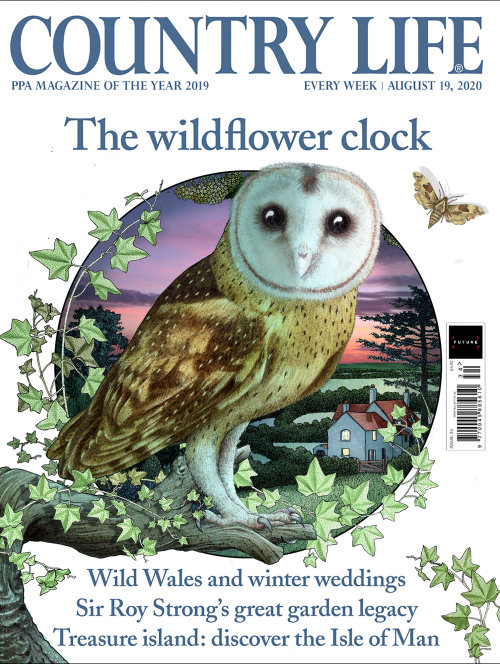 Magazine cover feature on birds