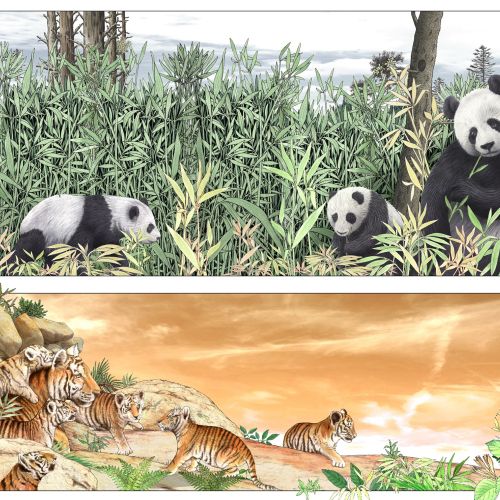Pandas and Tiger families