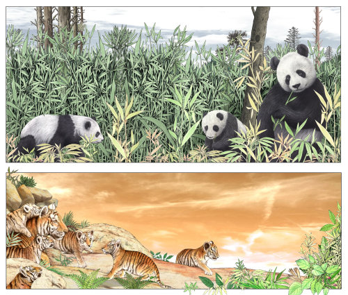 Famílias de pandas e tigres