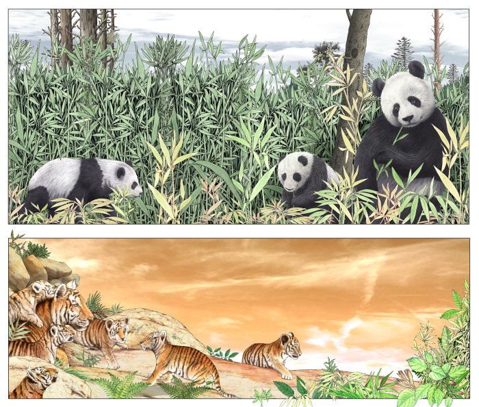 熊猫和老虎家庭