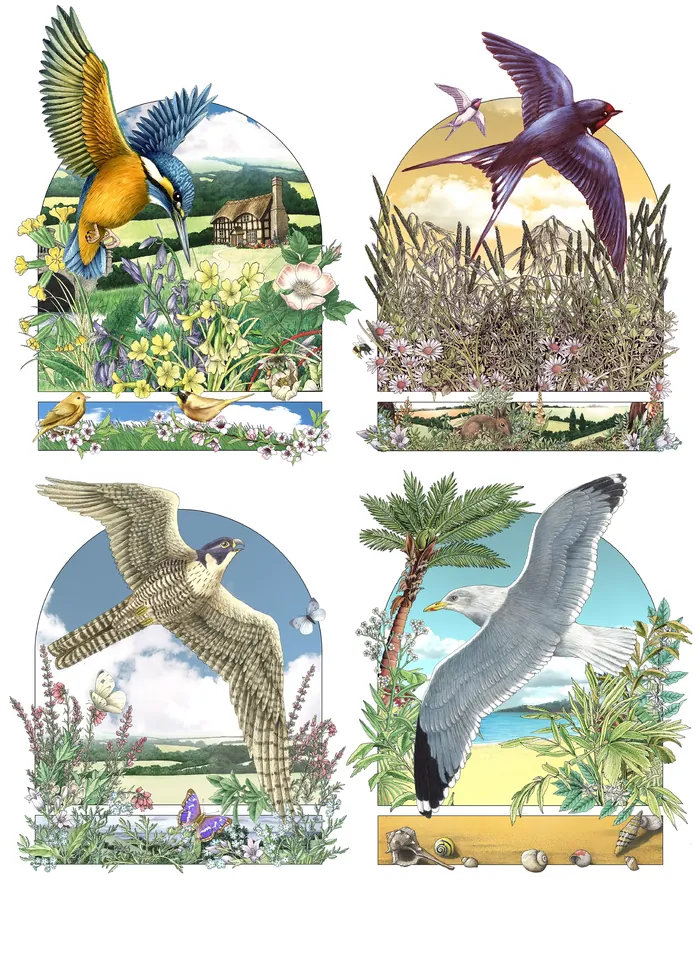 Various birds in natural habitats by Alan Baker