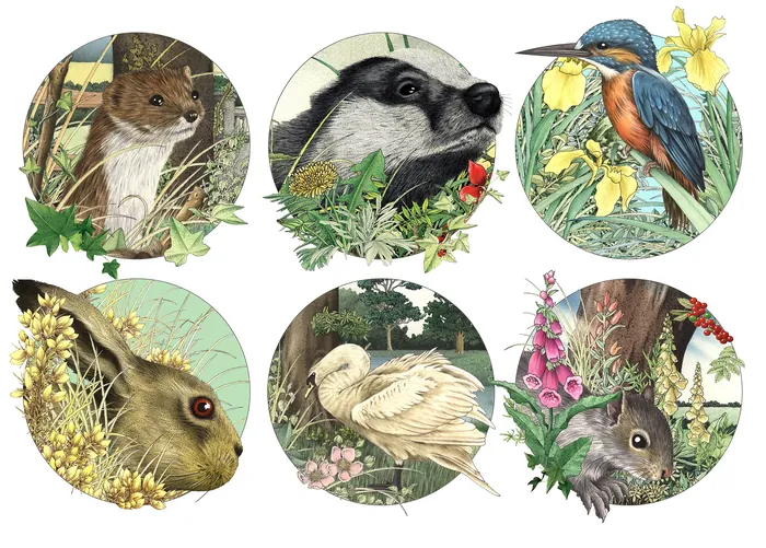 Illustration of six British wildlife animals in circular frames