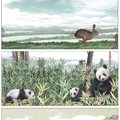 Hare running, pandas eating bamboo, and brown bear in nature