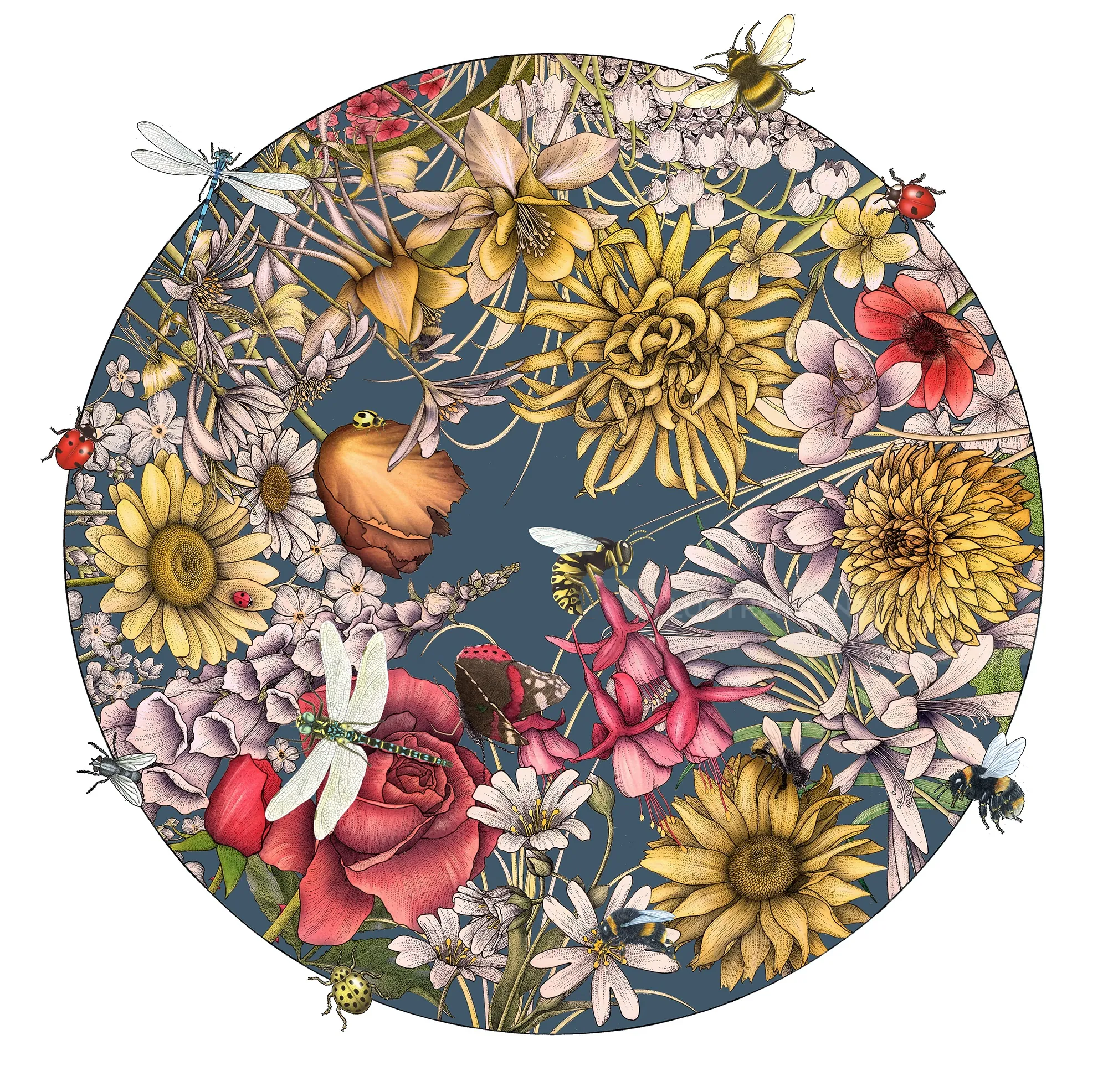 Ilustración floral circular con varias flores e insectos.