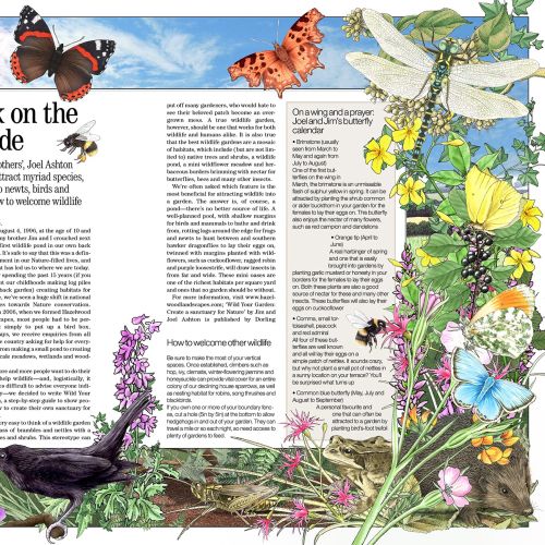 Illustration of diverse wildlife and plants surrounding a nature article