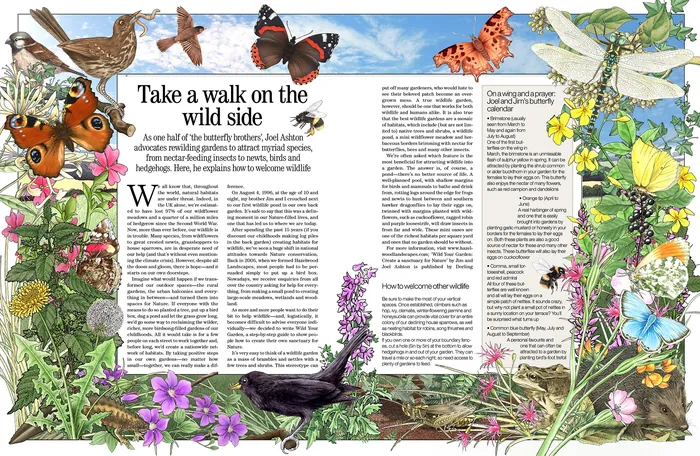 Illustration of diverse wildlife and plants surrounding a nature article