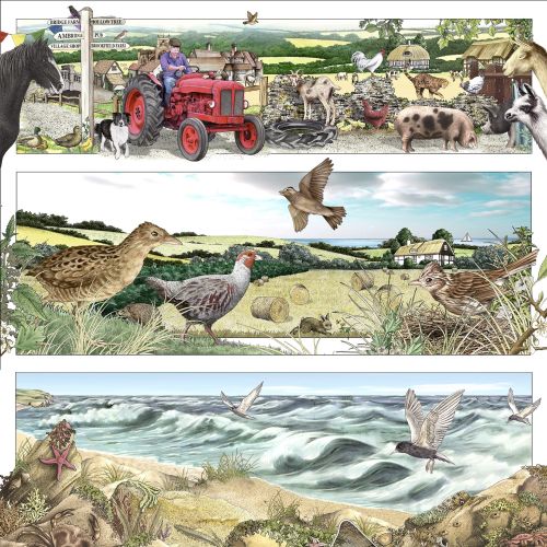 Illustration of farming, wildlife, birds, and coastal nature scenes