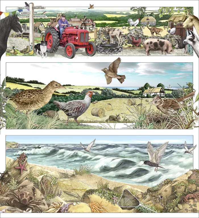 Illustration of farming, wildlife, birds, and coastal nature scenes