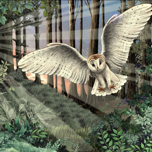 Alan Baker Fantasy illustrator. UK
