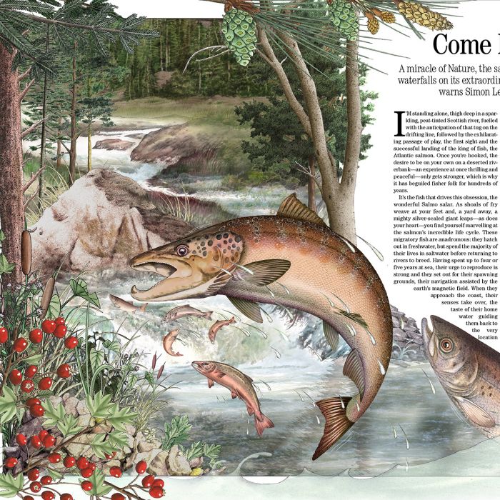 Seawater and Freshwater eco-systems