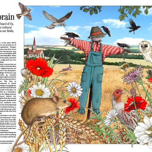 Nature editorial images