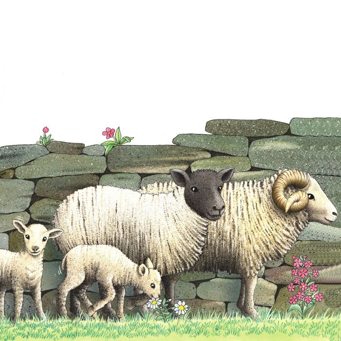 Little Rabbit's farm book
