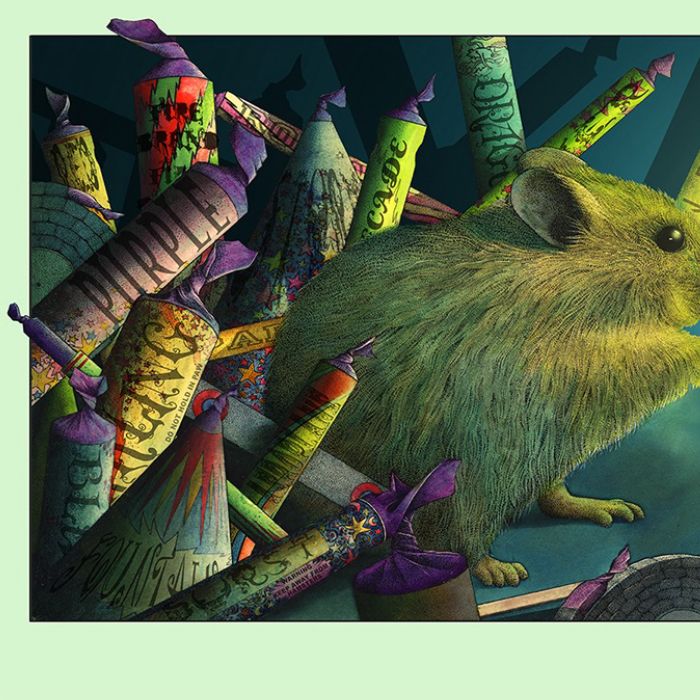Children's picture book