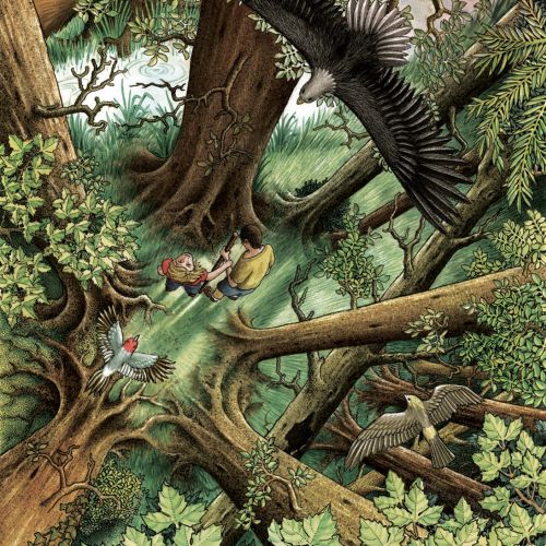Squirrel, Eagle in the forest illustration by Alan Baker