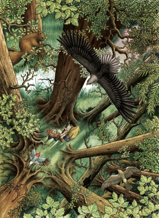 Ardilla, águila en el bosque, ilustración de Alan Baker