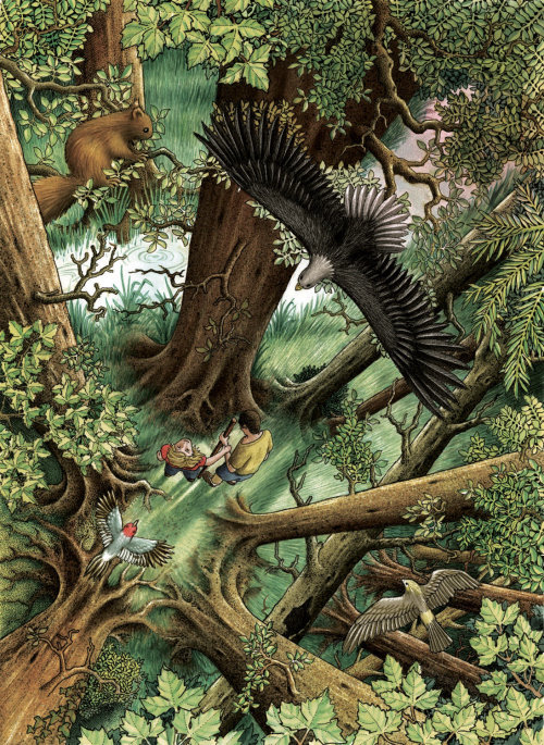 Squirrel, Eagle in the forest illustration by Alan Baker