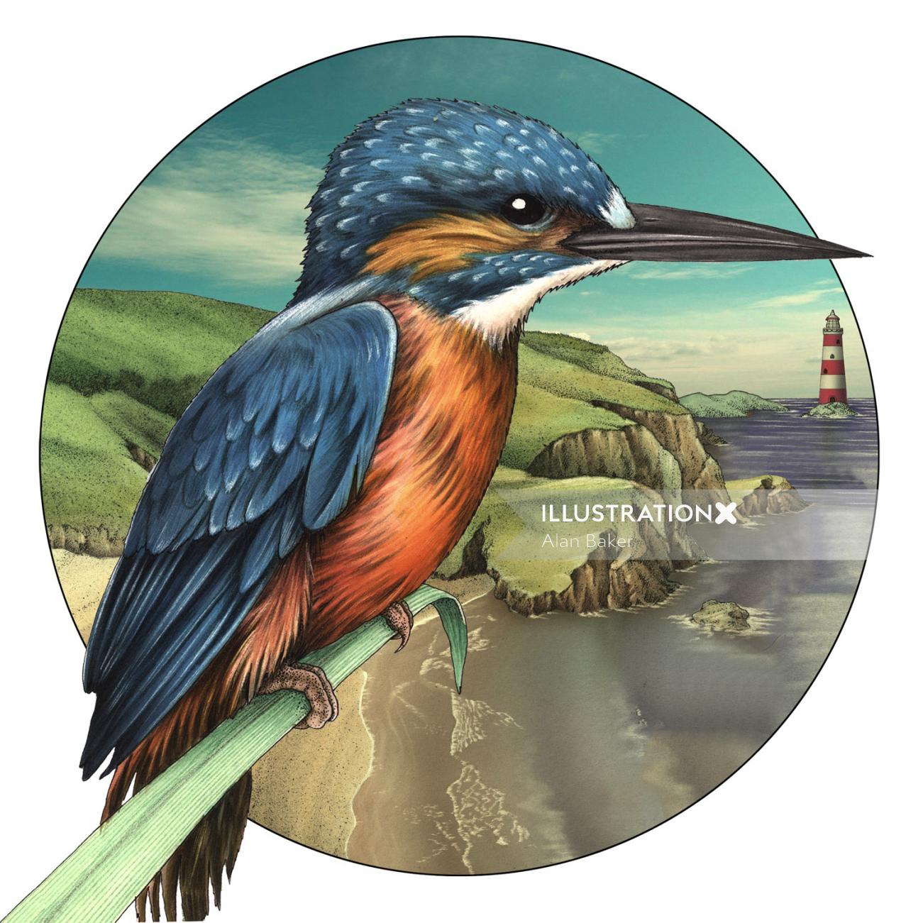 kingfisher Illustration