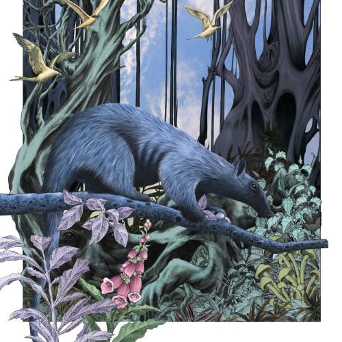 Fantasy artwork of Aardvark by Alan Baker