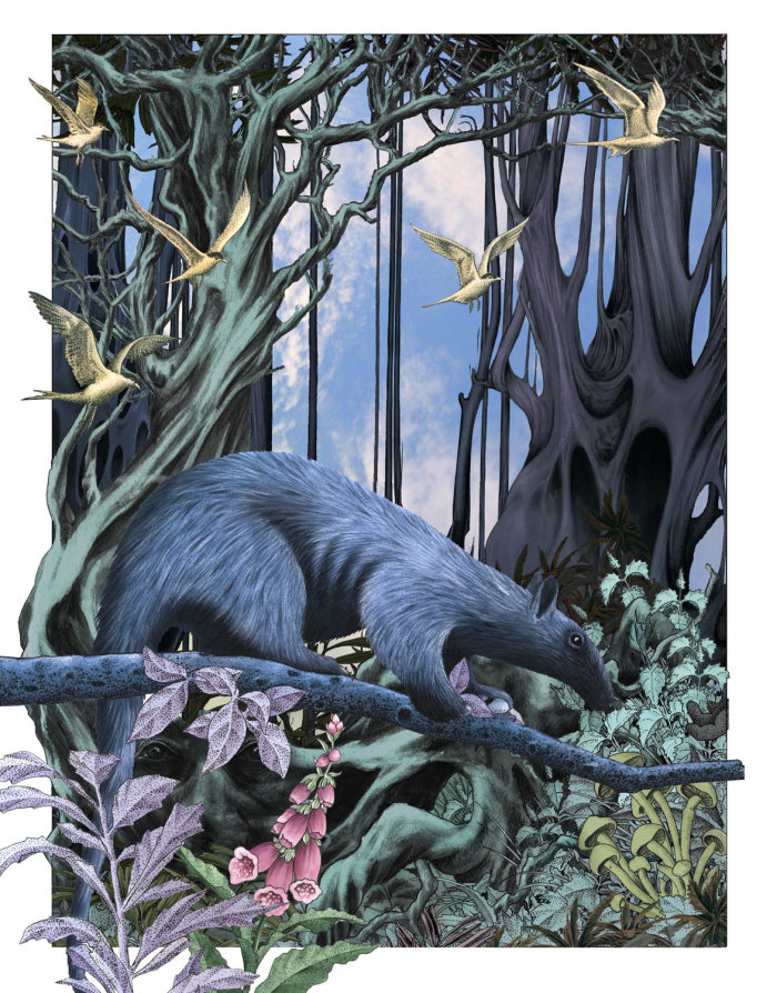 野生动物幻想-艾伦·贝克（Alan Baker）的插图
