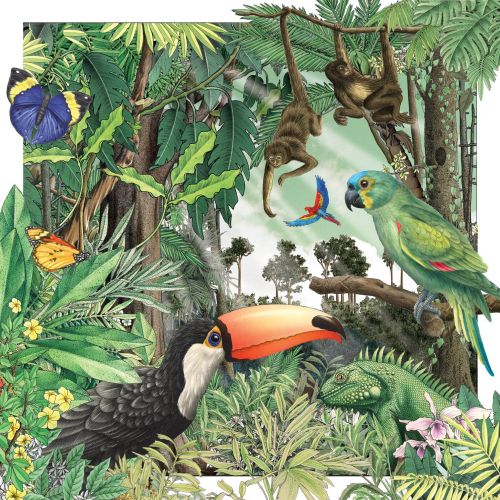 Illustration of birds in the forest  by Alan Baker