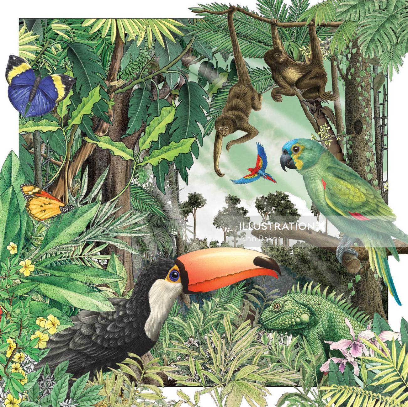 Illustration of birds in the forest  by Alan Baker