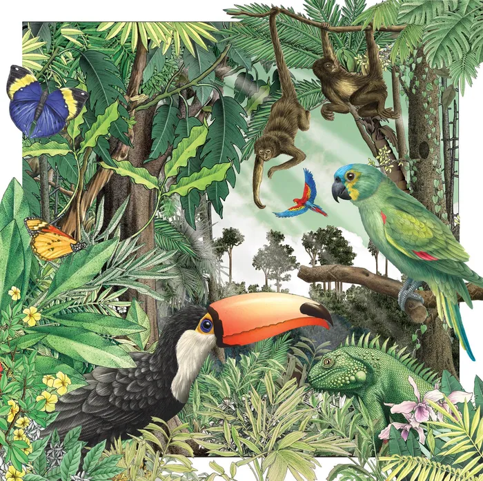 Illustration of birds in the forest  by Alan Baker