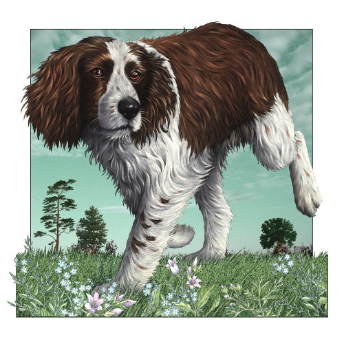 Ilustração do cão por Alan Baker
