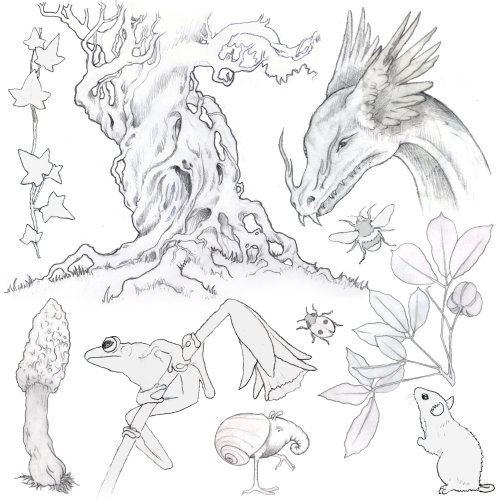 Alan Baker - Fantasy, Wildlife & Children's Book Illustrator