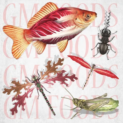 Ilustración de animales acuáticos de Alan Baker