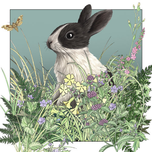 Illustration de lapin dans les plantes