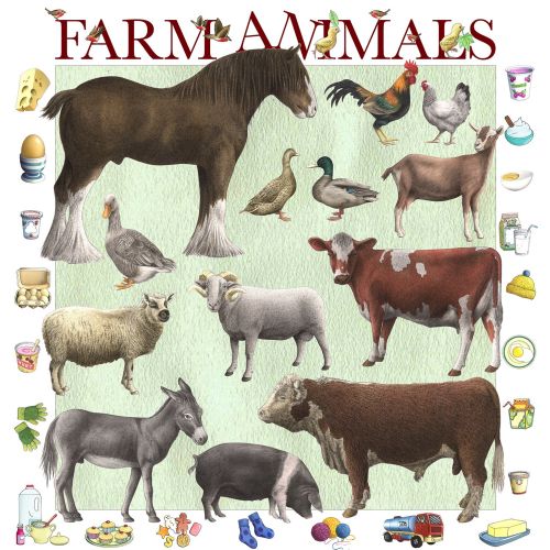 Illustration of Farm animals 