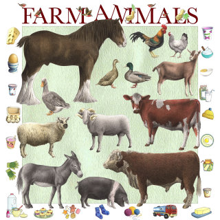 Ilustración de animales de granja 