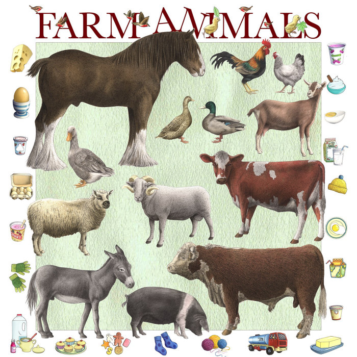 农场动物的插图