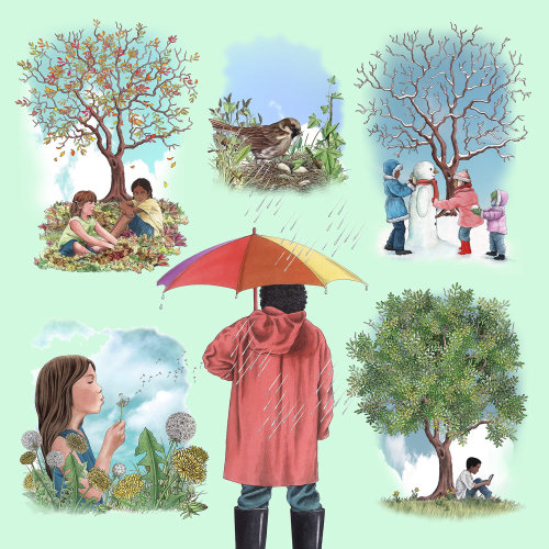 Four seasons illustration by Alan Baker