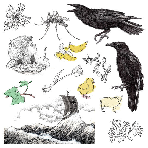 Uma ilustração de pássaros e insetos
