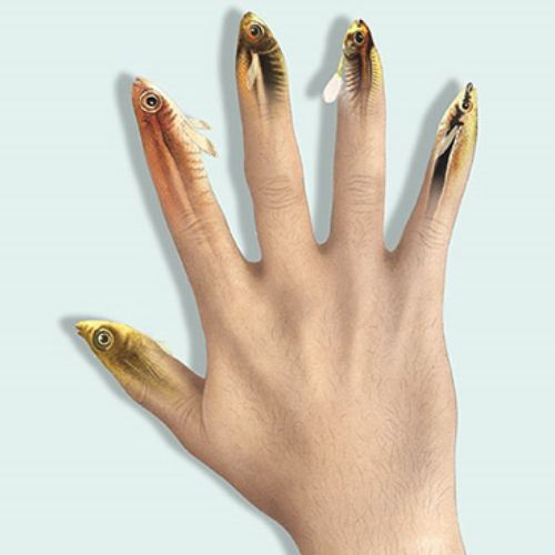 Realistic art of play on the word fish fingers