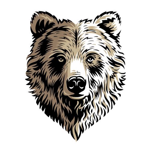 Detailed bear head illustration by Albert Morell